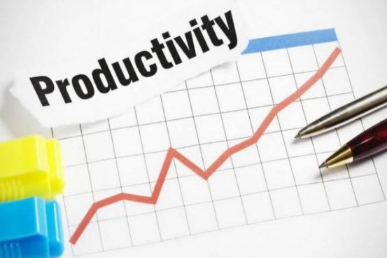 Pengertian Produktivitas